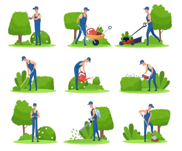 Bac pro Maintenance des matériels option C matériels espaces verts